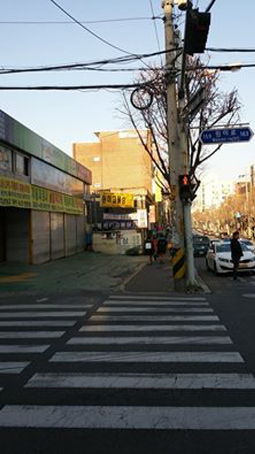 신호등 이미지