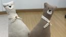 부천 송내청소년센터, 우크라이나 난민 어린이 곰돌이 선물 프로젝트 참여
