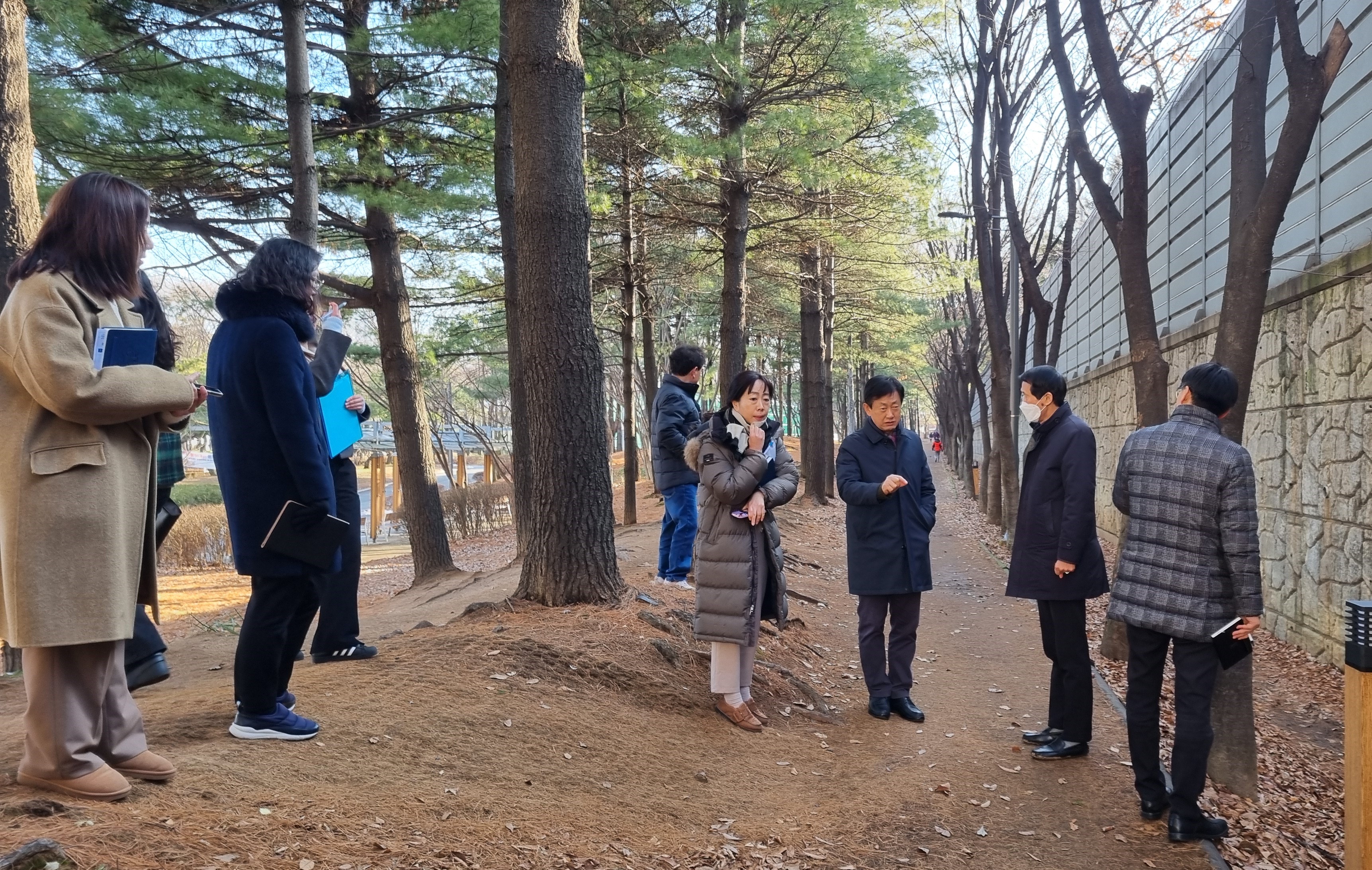 솔안 이미지