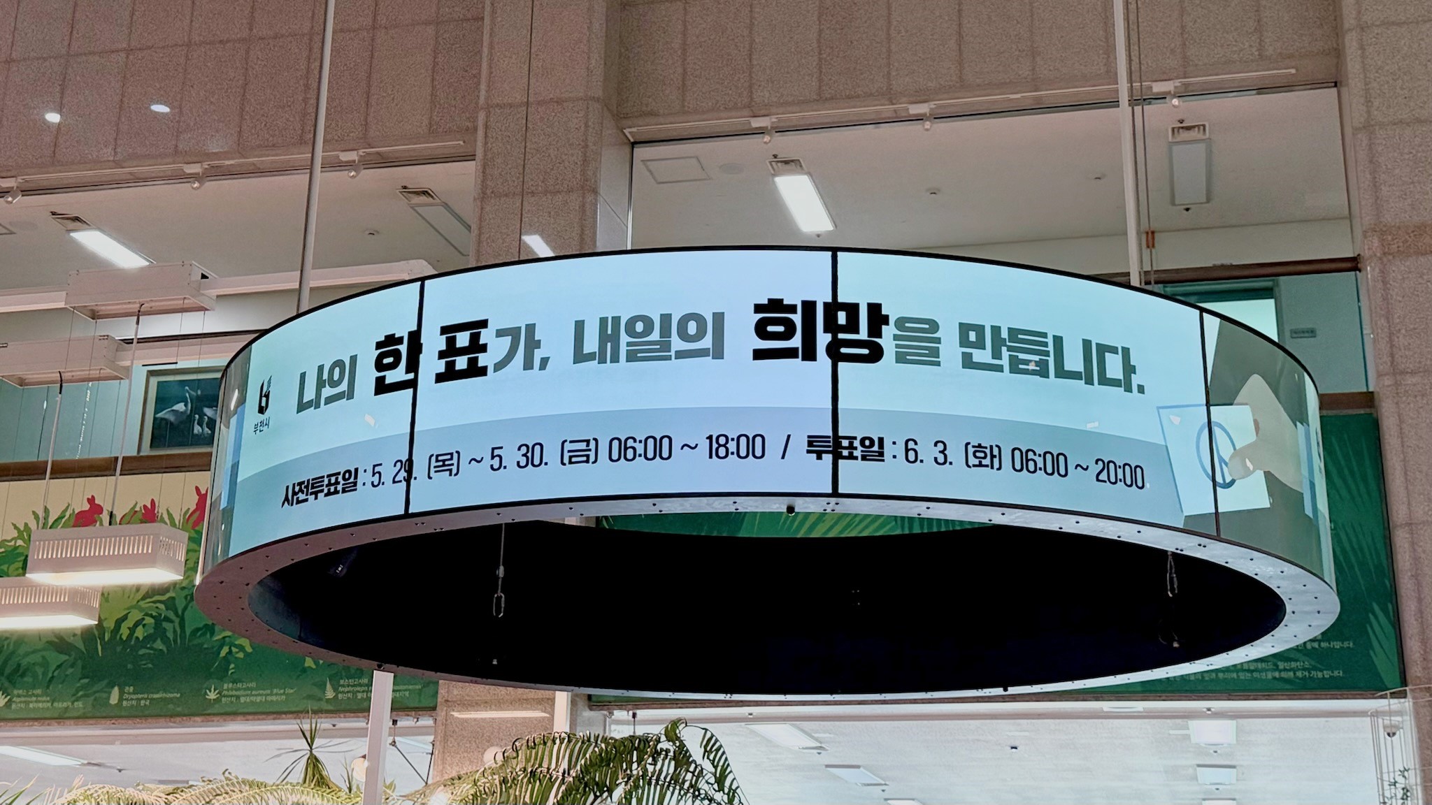   ǥ,  ϼ䡱õ, 뼱 ǥ 