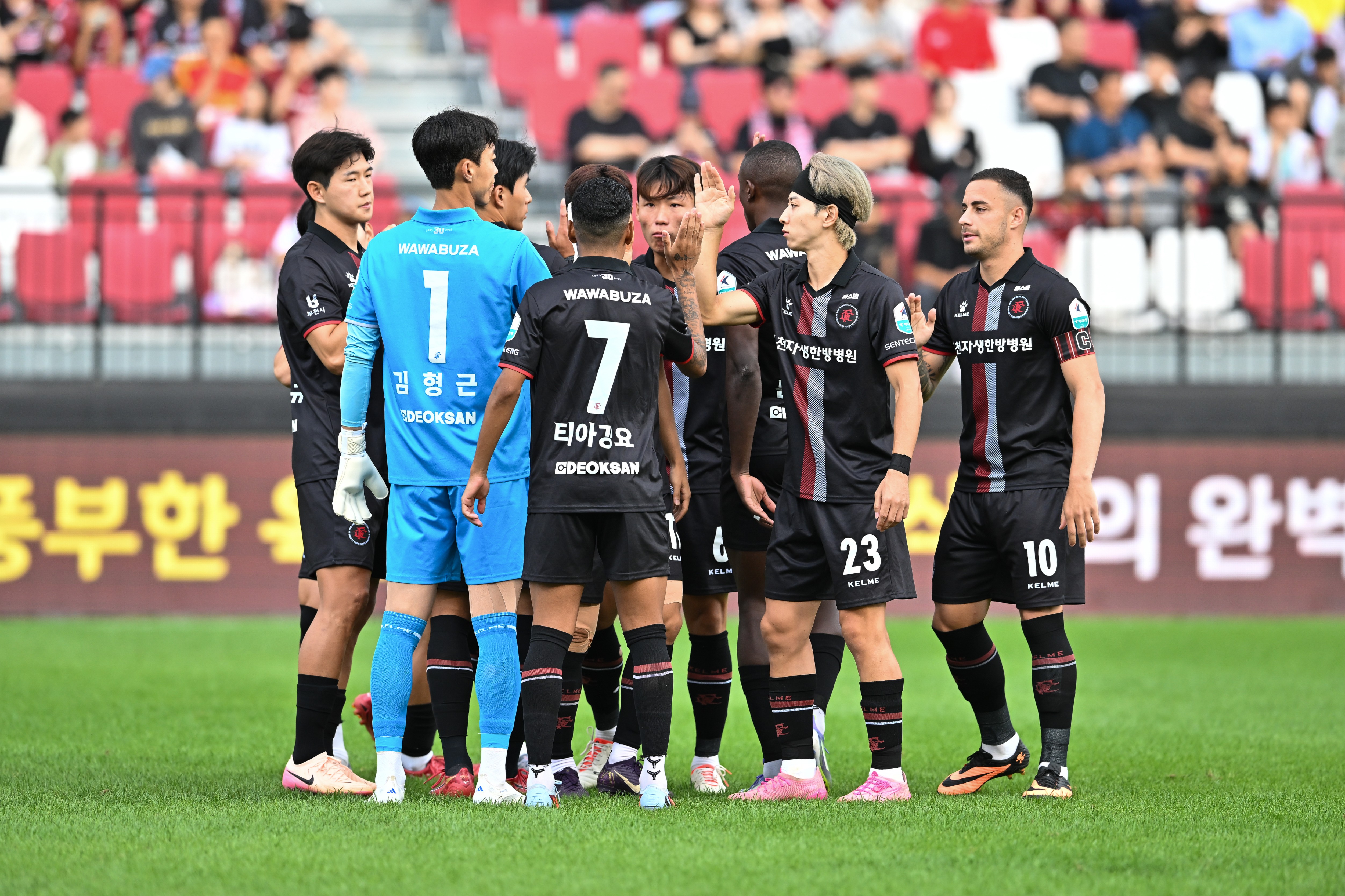 õFC1995,  ÷̿   ѷ