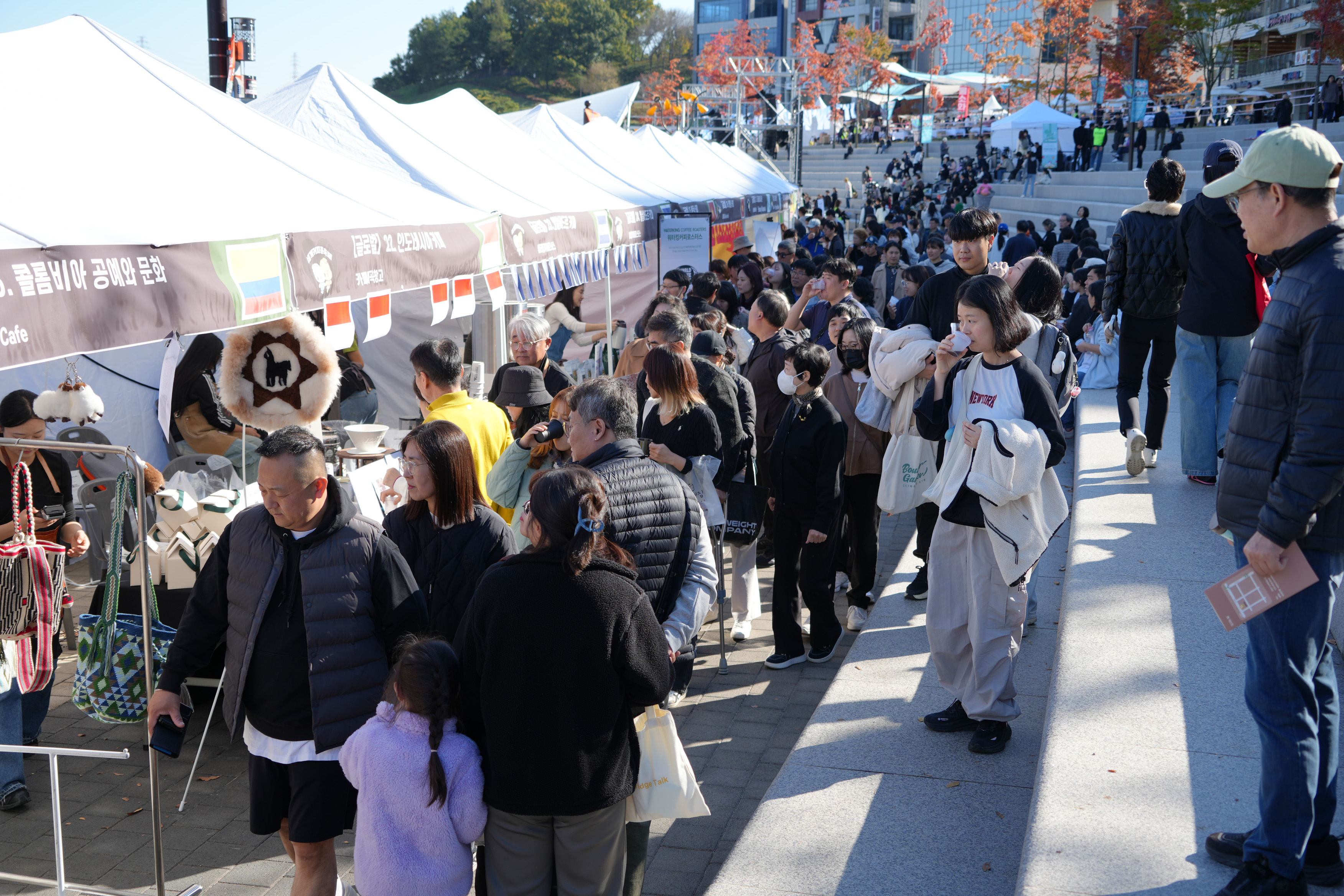  Ŀ, ̡߳ī  15 Ŀ 걹      