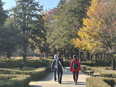 õ, ġȯ ȣ  յ  