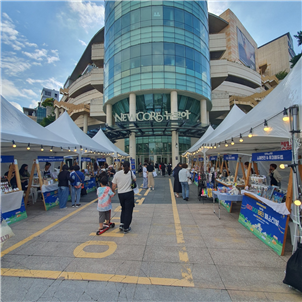  õη°߼,  'BU-DiD(-, õ*)' 