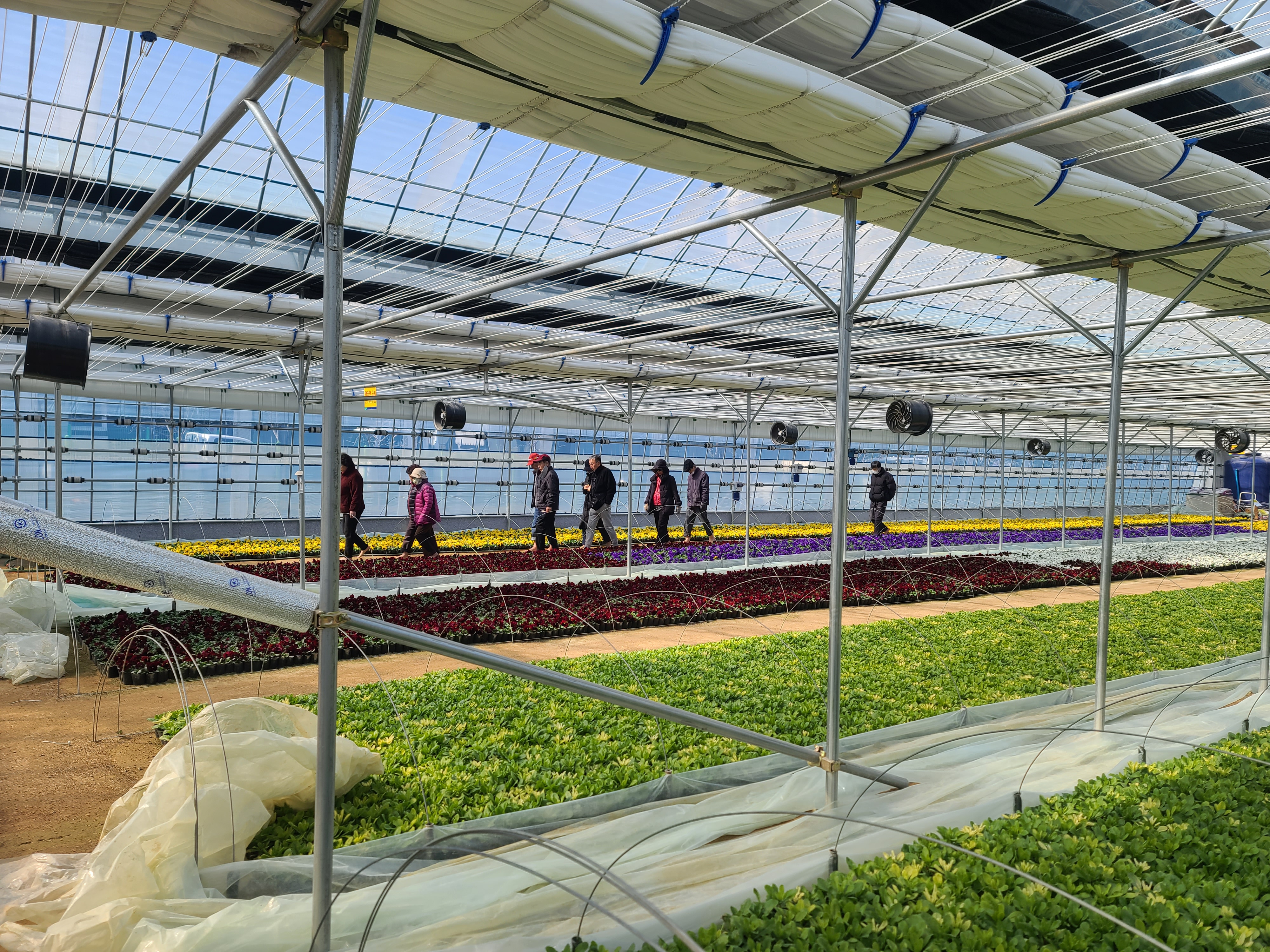 õ, ǹ߱ Ȳ亼 бɾ繦 ܿö ǹ߱ 