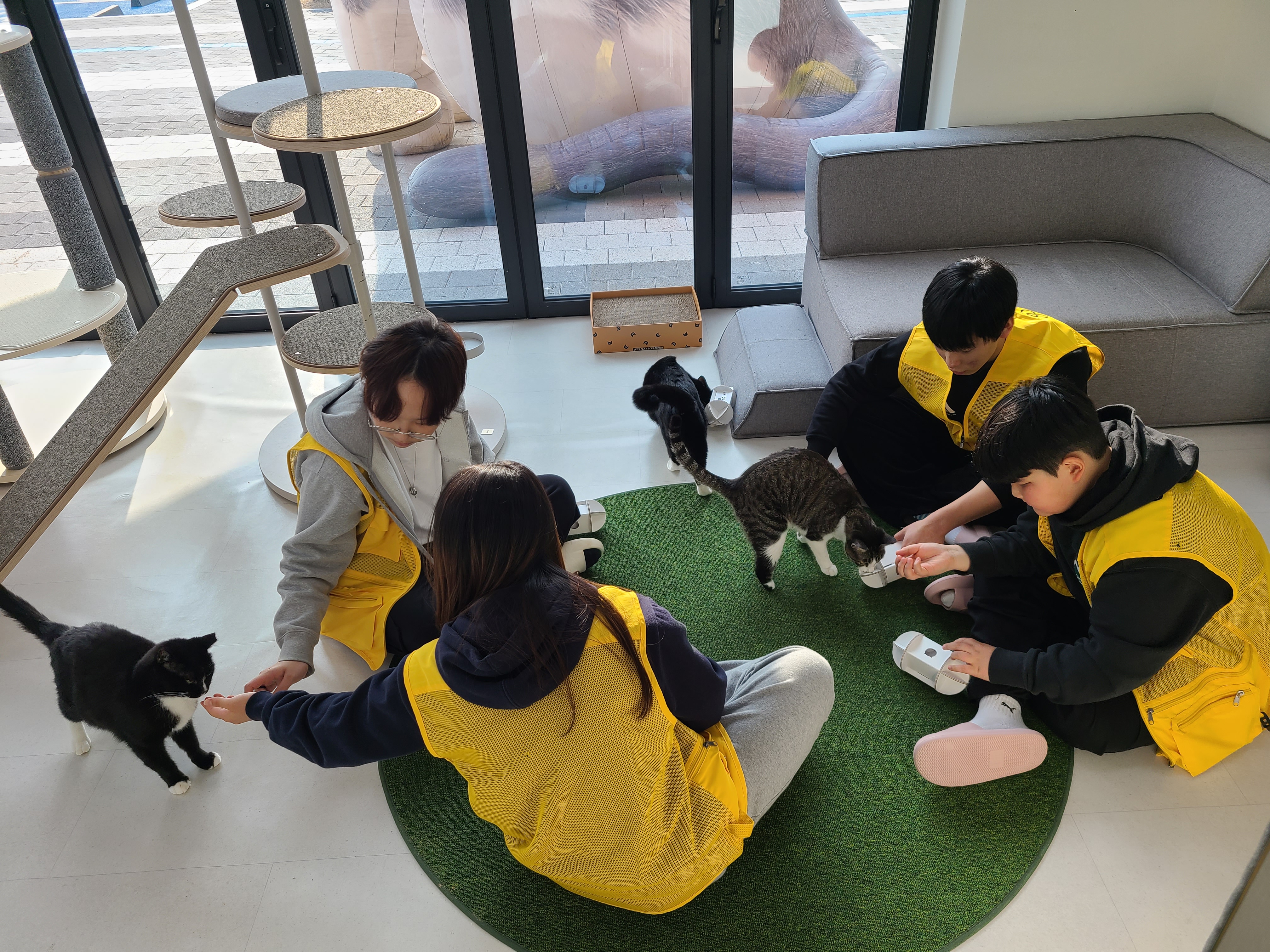 �����⵿���� ������ �ܿﳪ�⡱ ��⵵, �ܿ���� û�ҳ� �ڿ����� �