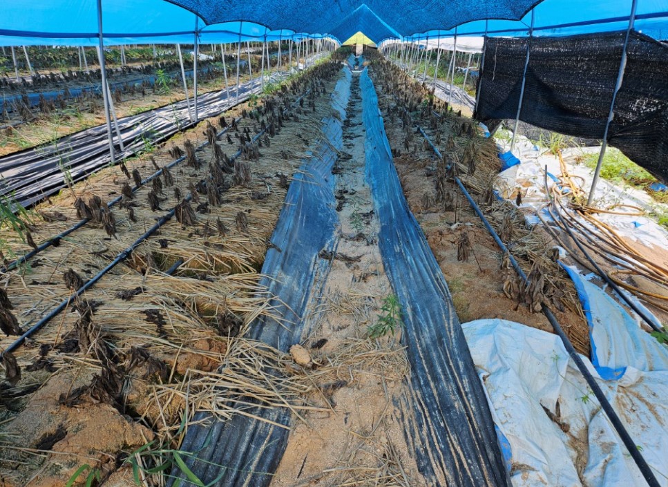 ��⵵, ������ ���� ���� ģȯ��󰡿� ������ 40% �߰�����