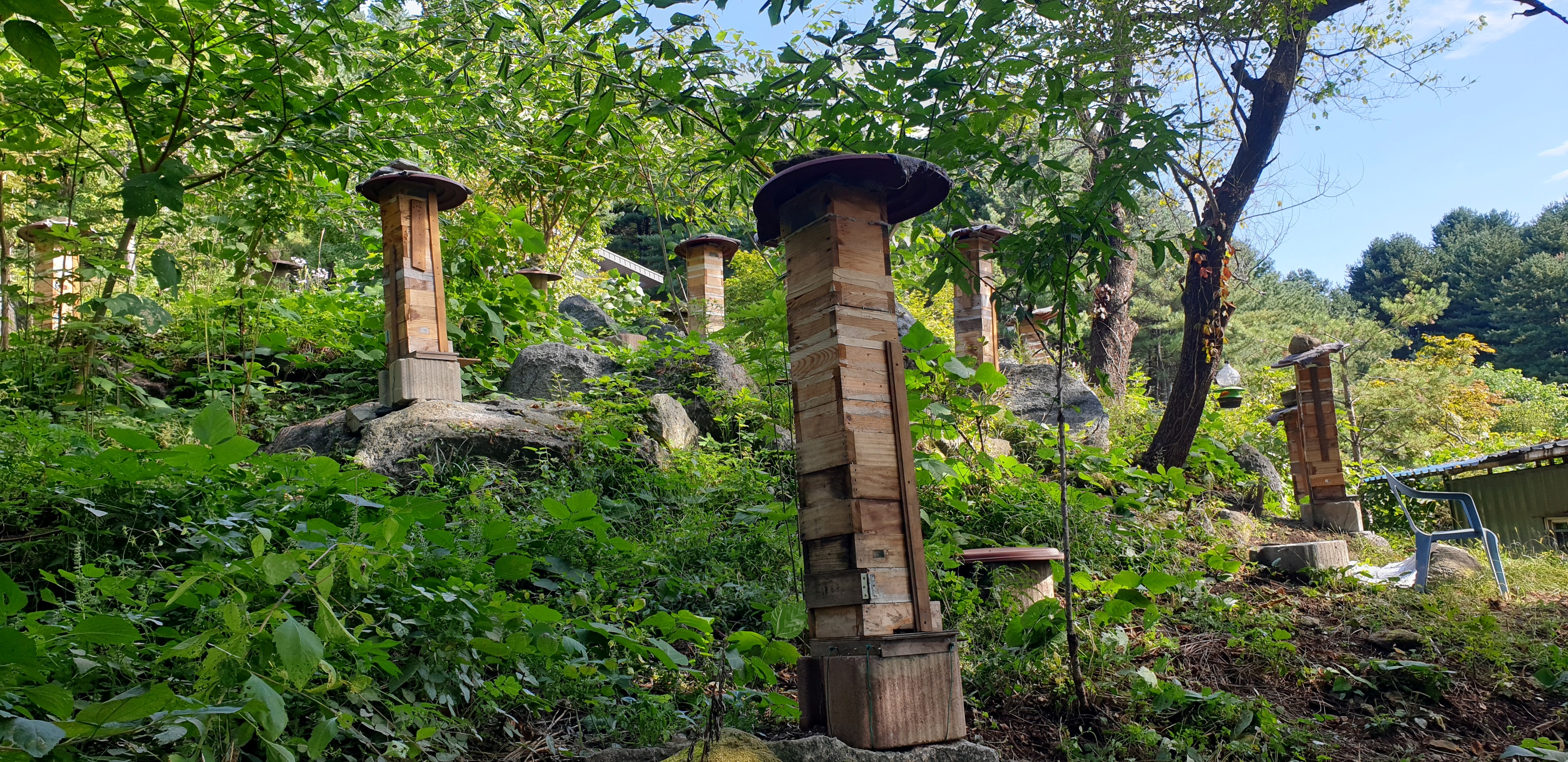 ��⵵, ��26�� �Ѻ�(������) �� �귣�� ���ꡤ������ ������ ���� ����