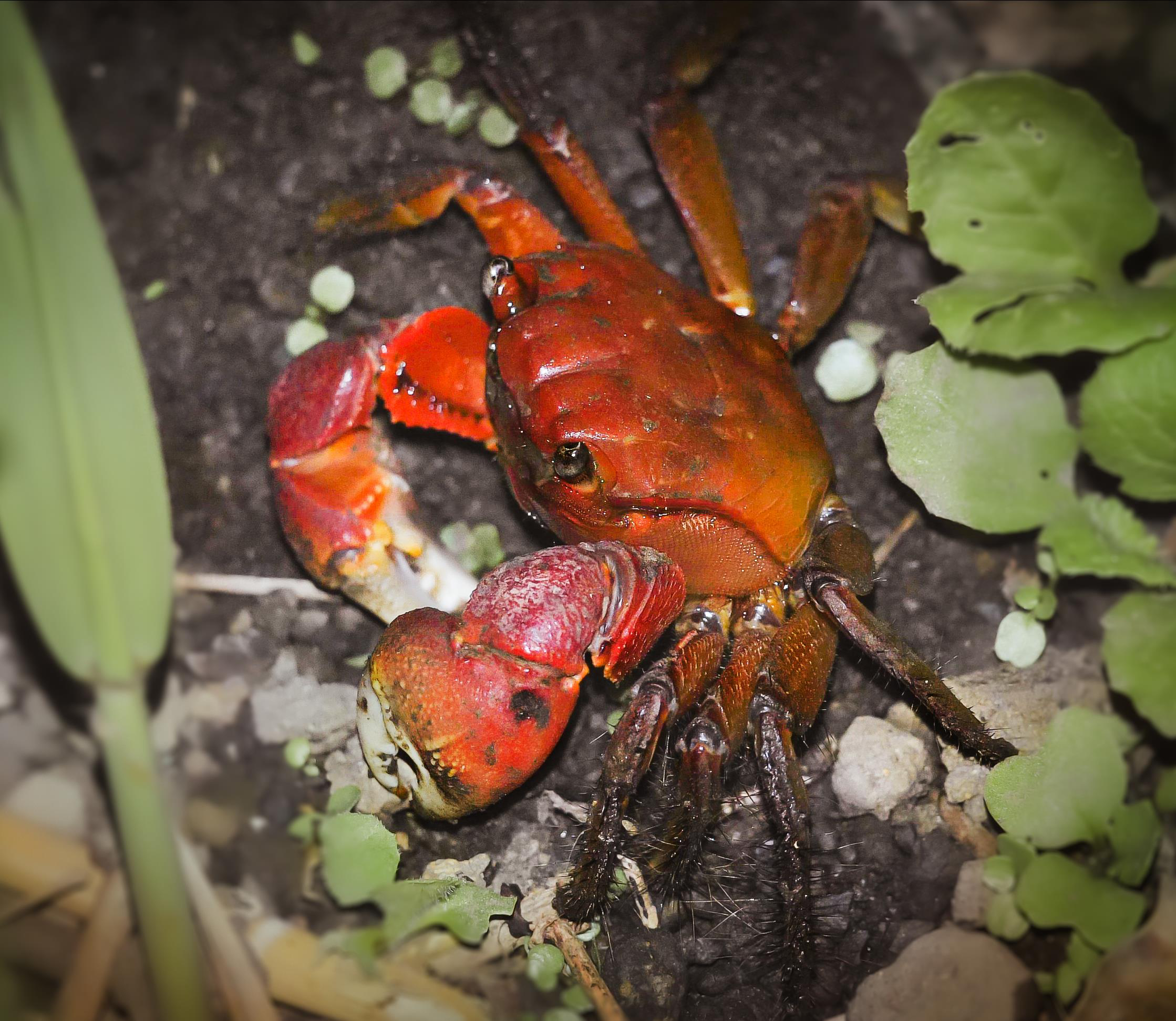 1�� �������� �߻������� �����߸��˰� ����