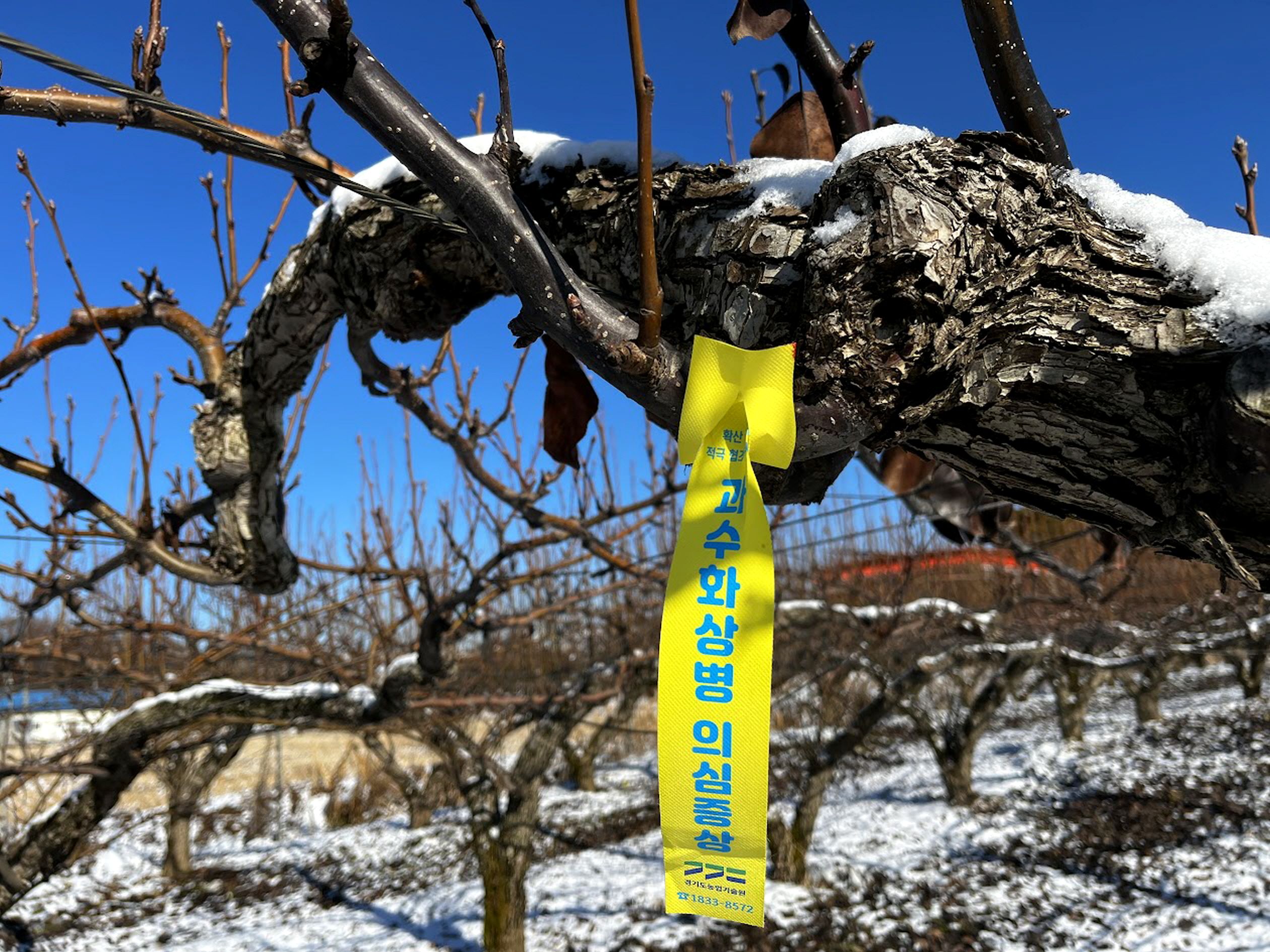 ��⵵, ������ ����ȭ�� Ȯ�� ���� ���� �˾� ���� ���