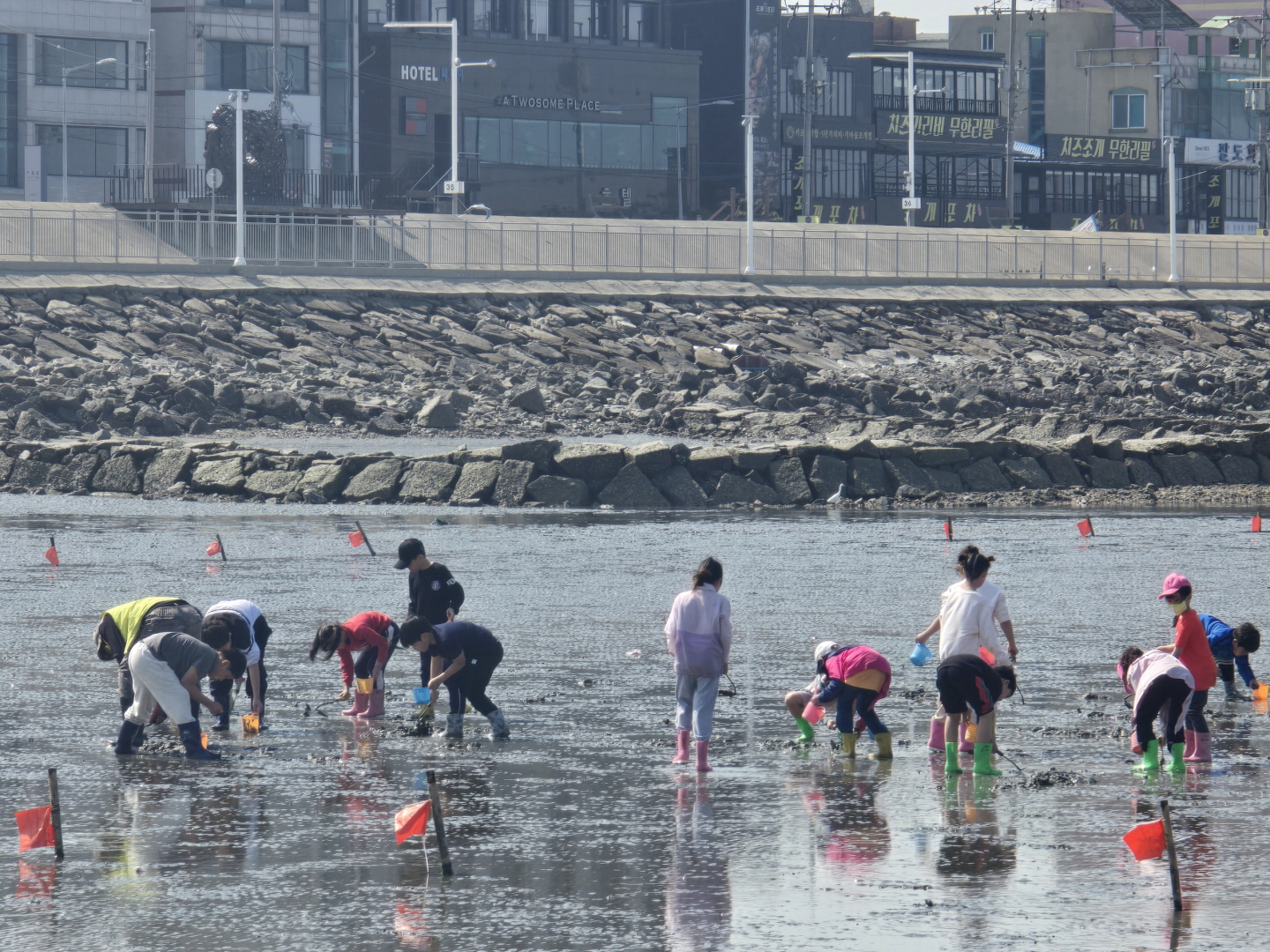 ���̵� ����ü���޾縶��, 3�� 1�� ����