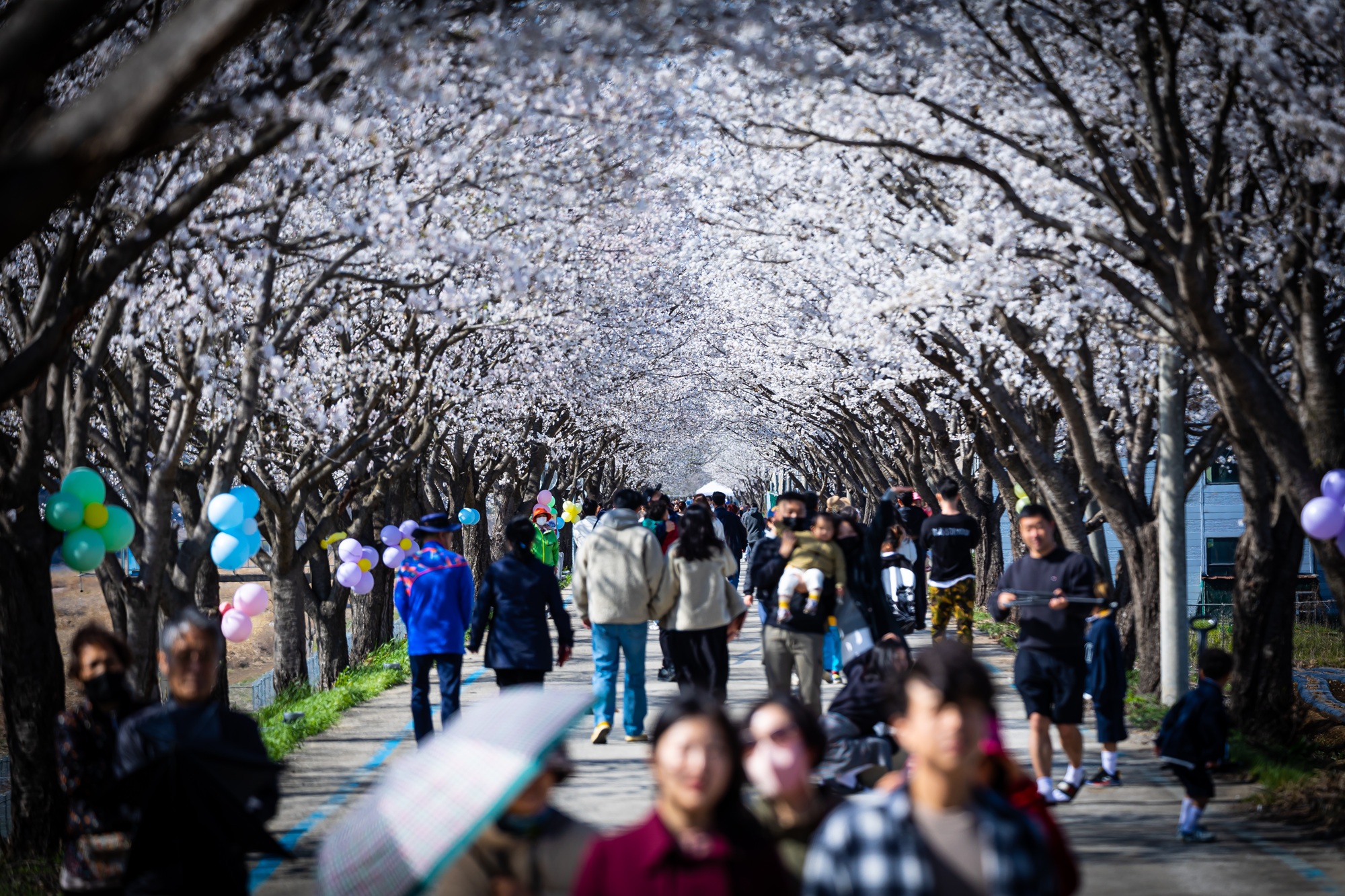 �������� ���� �ȴ� �ð�����, �������� ���� �ȴ� ���ɿ��� 