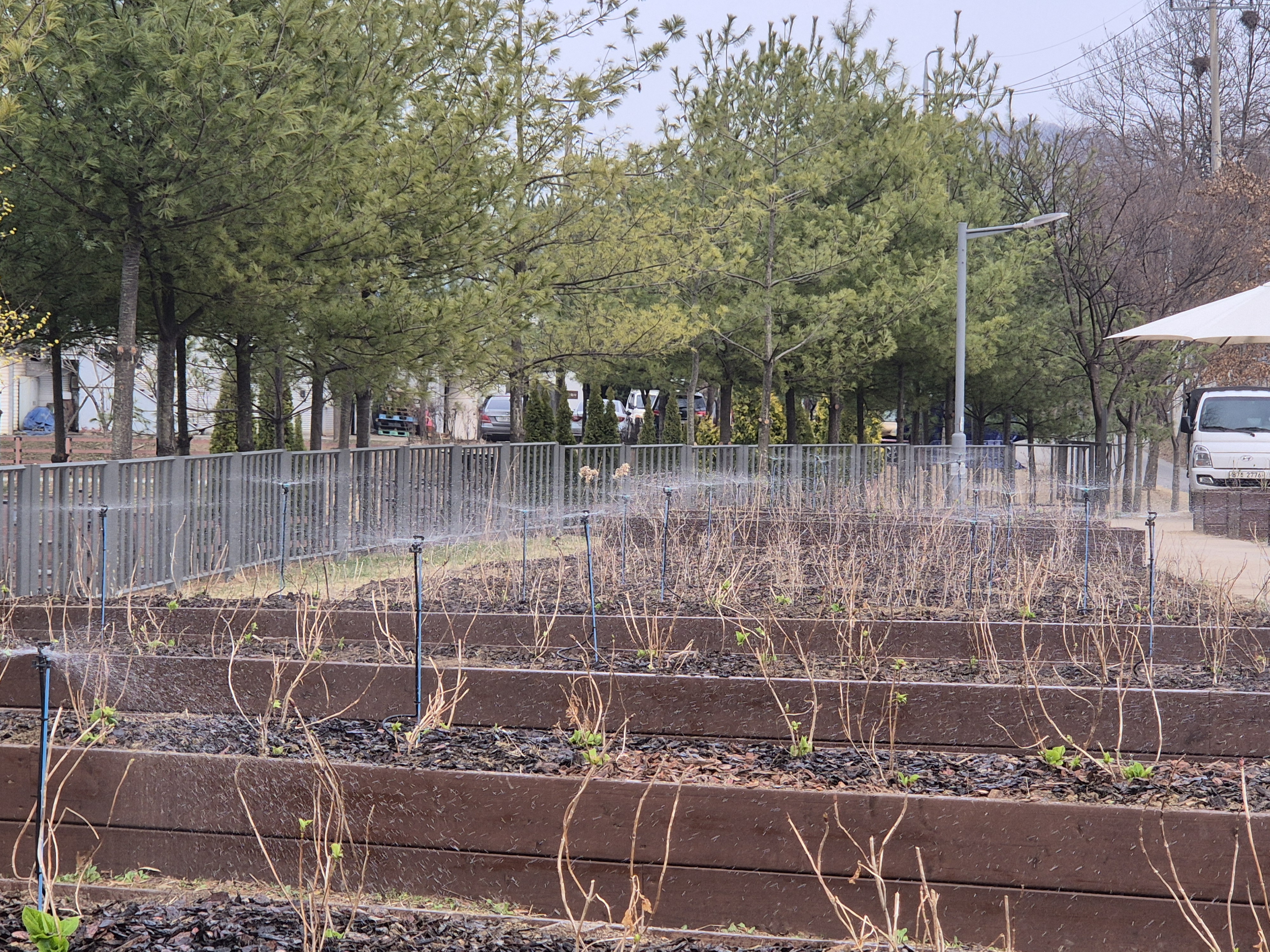 ��õ ���浿, �� ���� �����浿 �������ꡯ ����