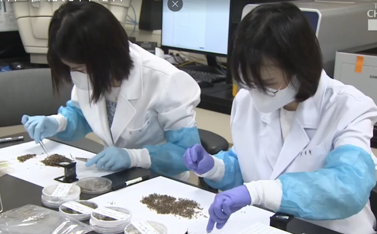 ��⵵����ȯ�濬����, ���󸮾� �Ű���� ���� ���� ����