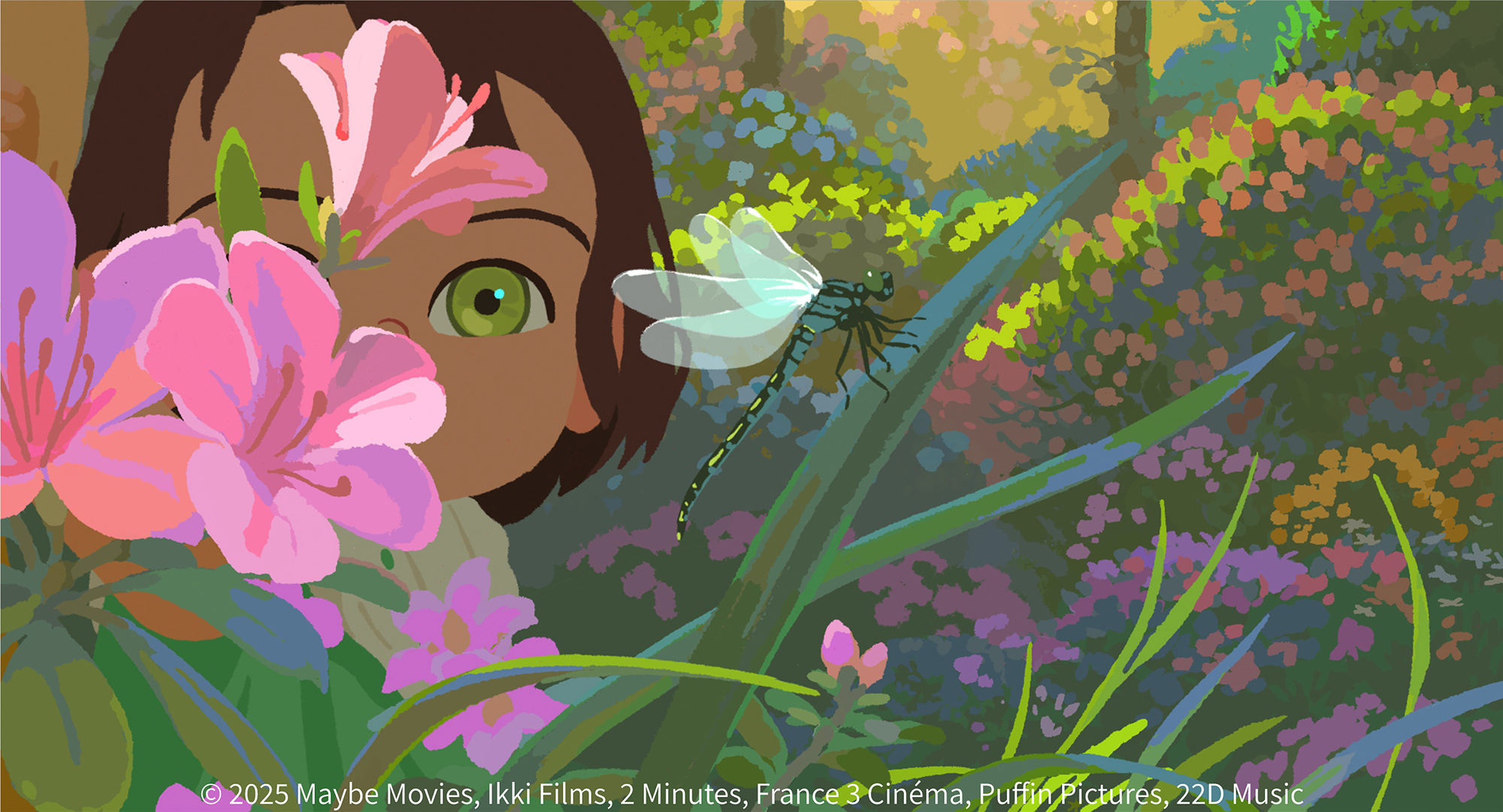 ��ī���̸� ���� ������, BIAF2026 ��ǰ ����!