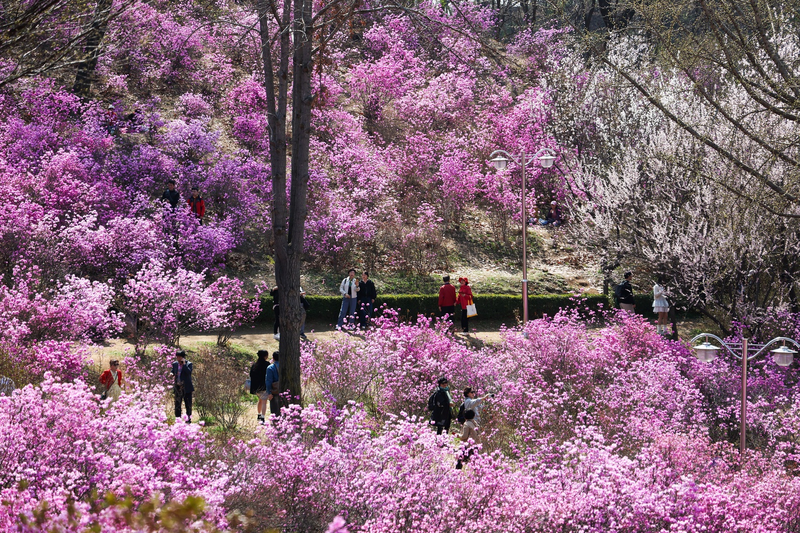 ������ ����� ������ ������ �������ɰ� ��ȭ ���� Ȱ¦ �Ǵ� ��õ