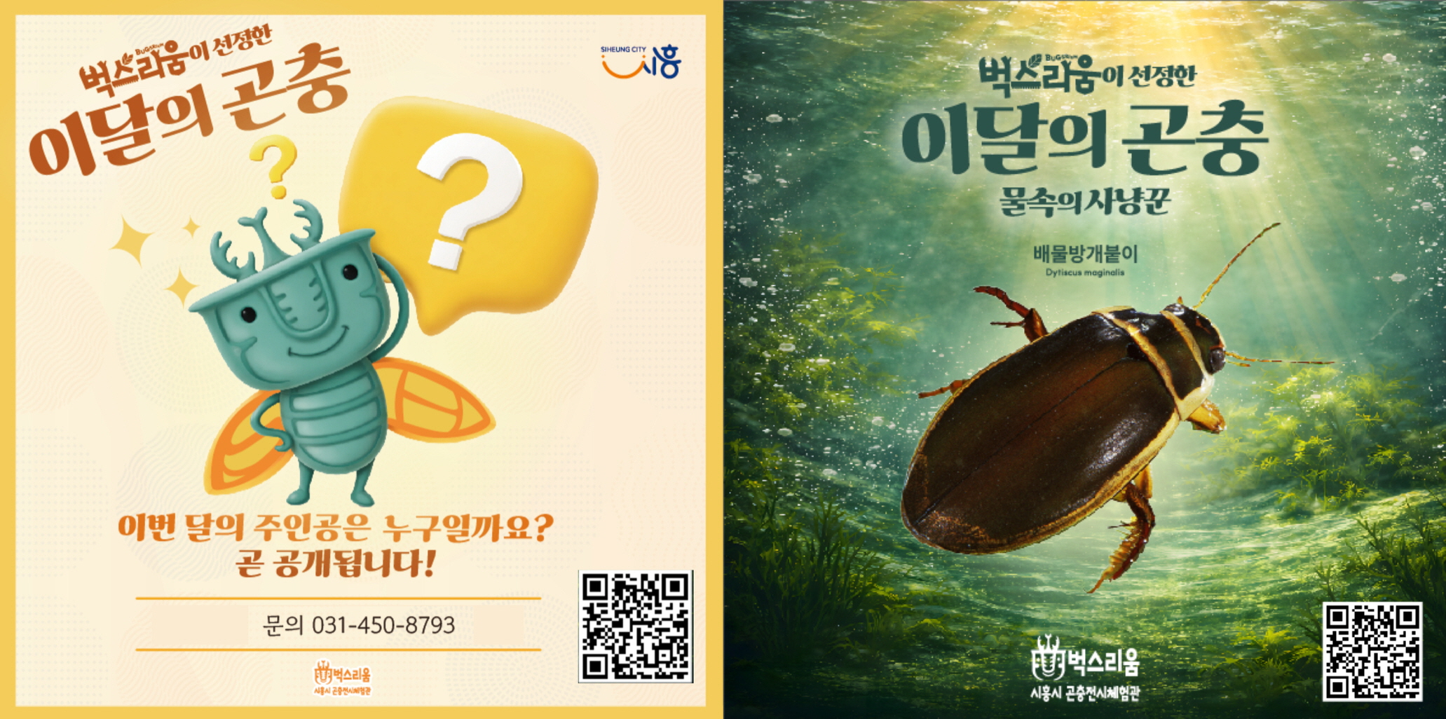 ��������ü��� ��������,  5�Ϻ��� �ű� ���á��̴��� ���桯 �