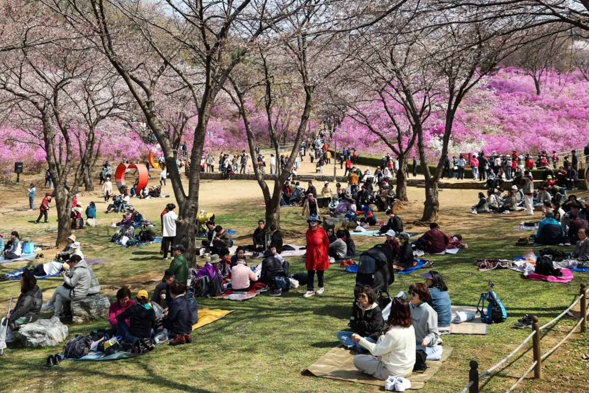 ����õ ������ ���������Ρ�������� ���� ���� ����õ �佺Ÿ��