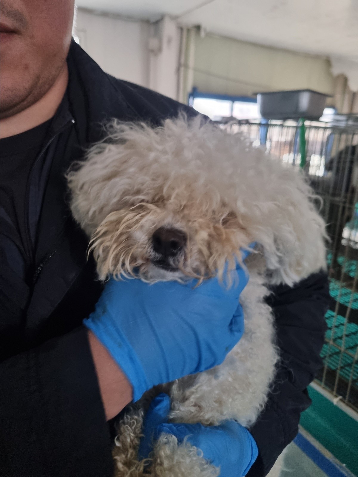 ���ݷ����� ȭ�������� 3,333��° �Ծ簡�� ź��