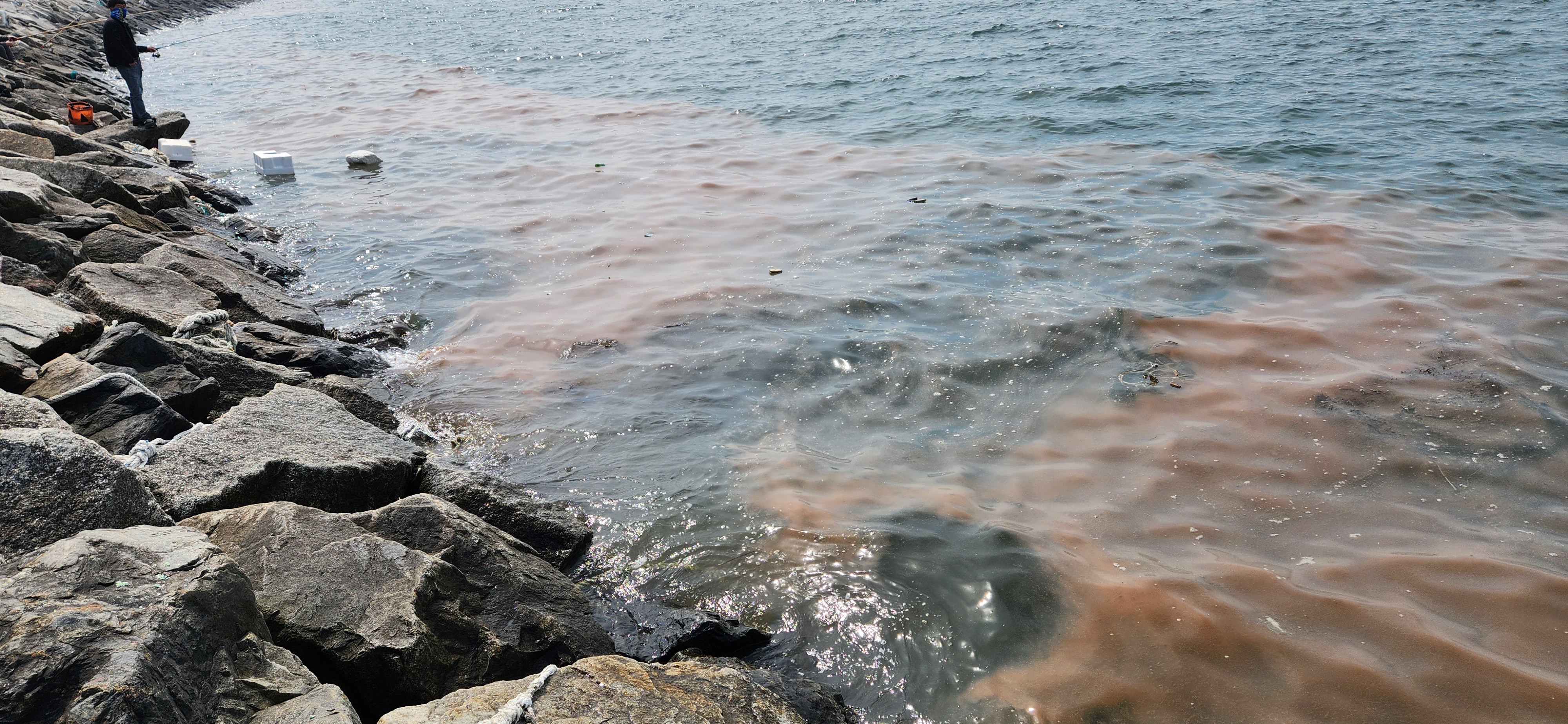 ���ٴ� ��Ȳ�� ����?�� ��⵵, ���ؼ� ���߱��桯 Ȯ��. ��ü�����깰 ���� ����