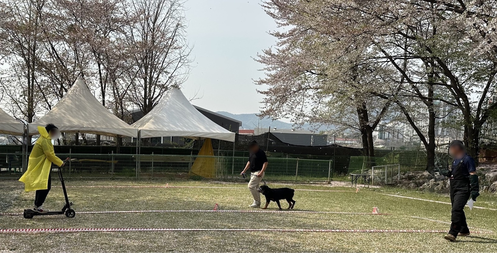 ��⵵, ���Ͱ� Ű����� ���� ������ �� �㰡 �������䡱