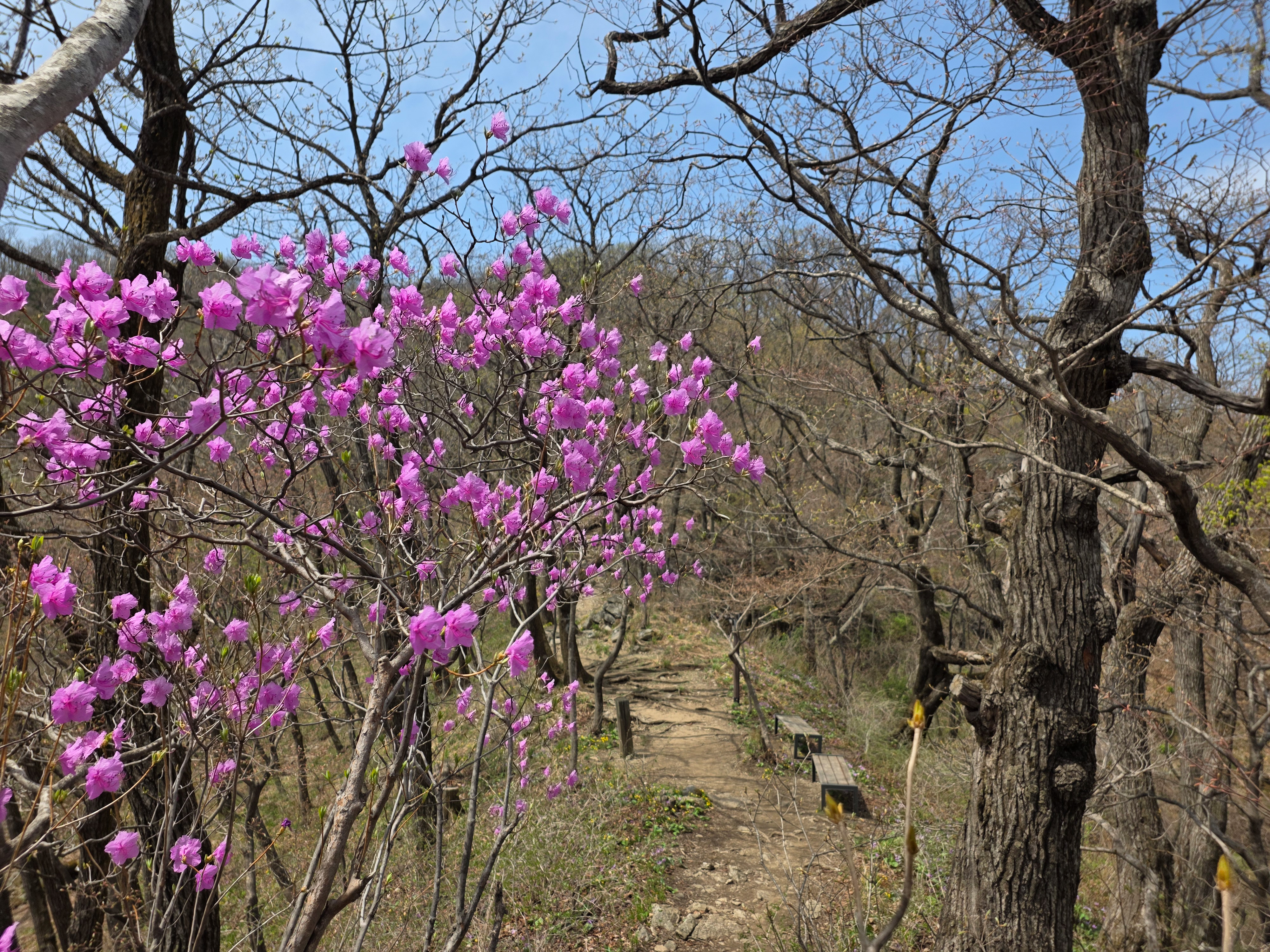 ��⵵, ���λ굵������ ���� �� �߻�ȭ ����