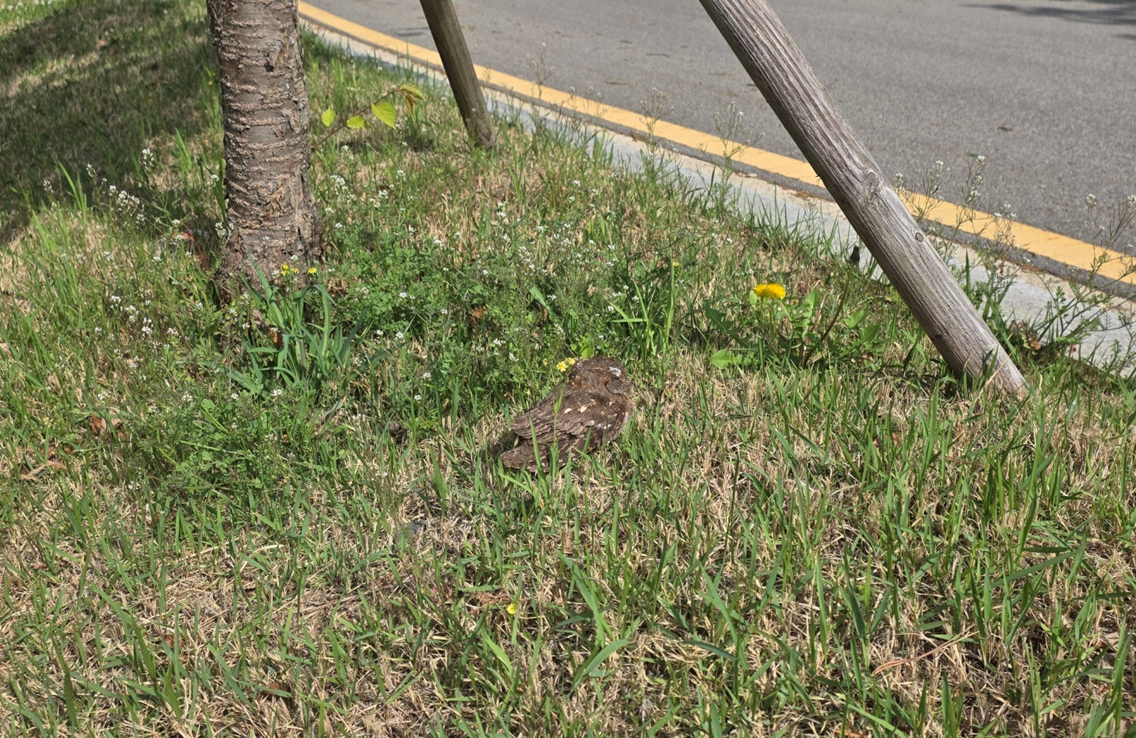 ��⵵, ��� �߻������� �߰��ߴٸ� ���� �߻������������Ϳ� �������ּ��䡱