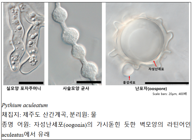 ���� ��� �������̷� 78�� Ȯ�Ρ� ���շ� ������ ���� ���� ��� ����