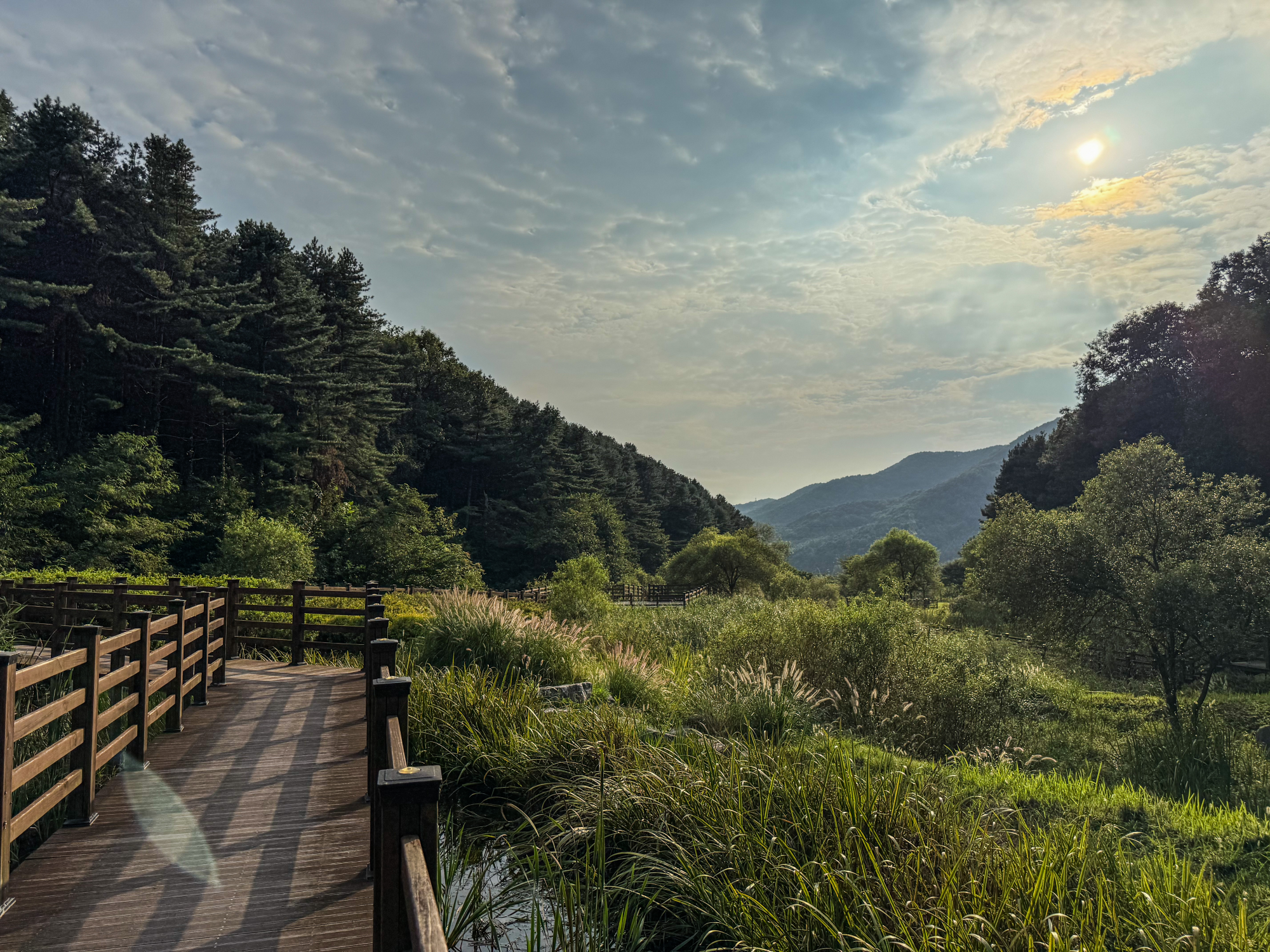 ��⵵, �����굵������ ��2������ ���� ���� Ȯ��. 2027�⸻ �ذ� ��ǥ