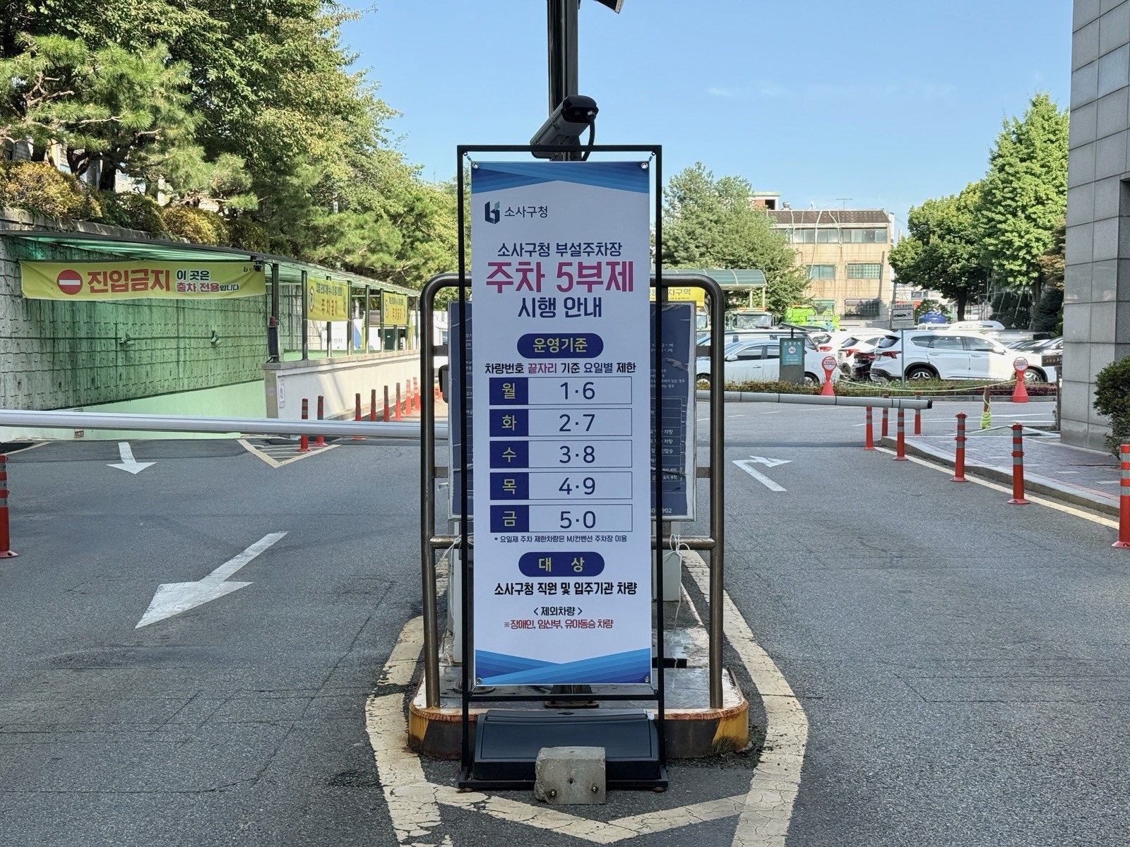 ��õ �һ籸, ���� 9�� 7�Ϻ��͡����� 5���������� ����
