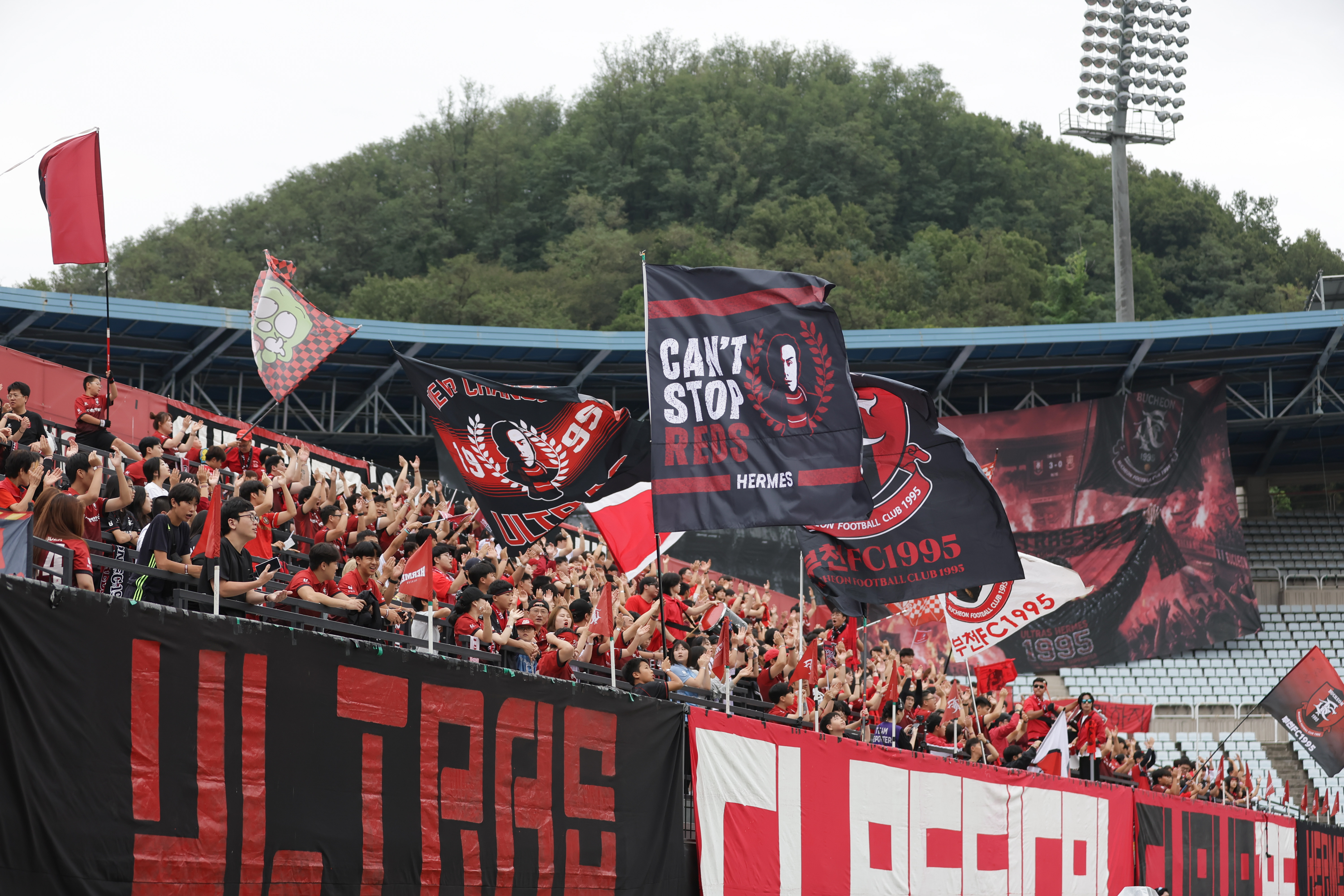 ��õFC1995, 30R ��õ�� Ȩ��� ����